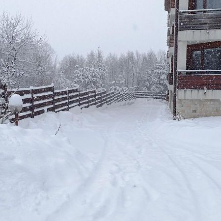 Apartment Detelina Residence Bansko Exterior foto