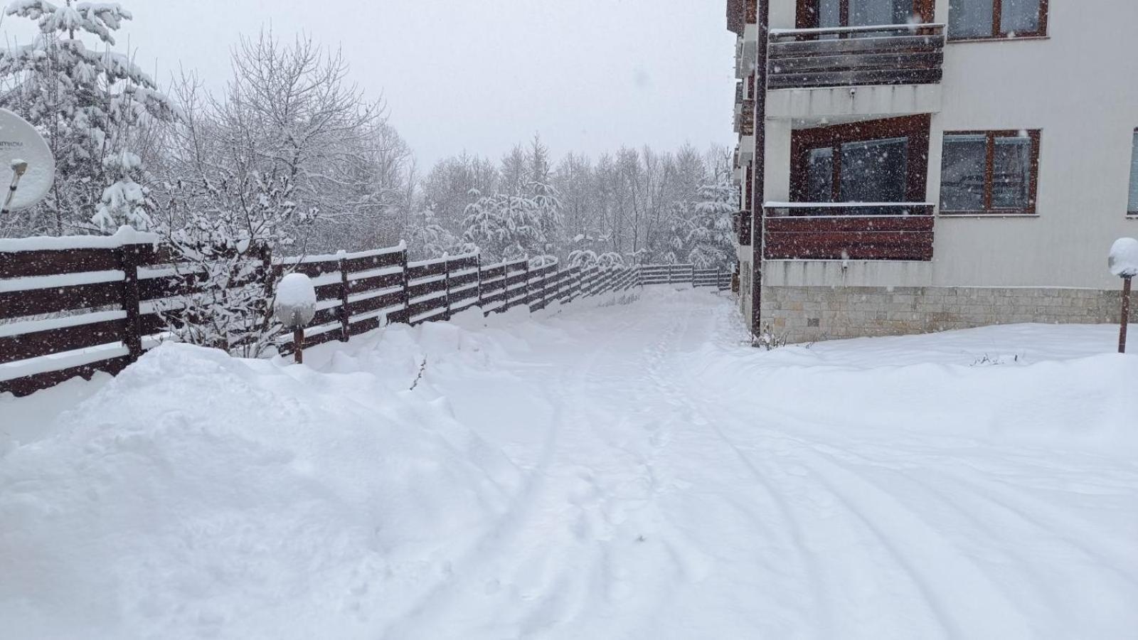 Apartment Detelina Residence Bansko Exterior foto