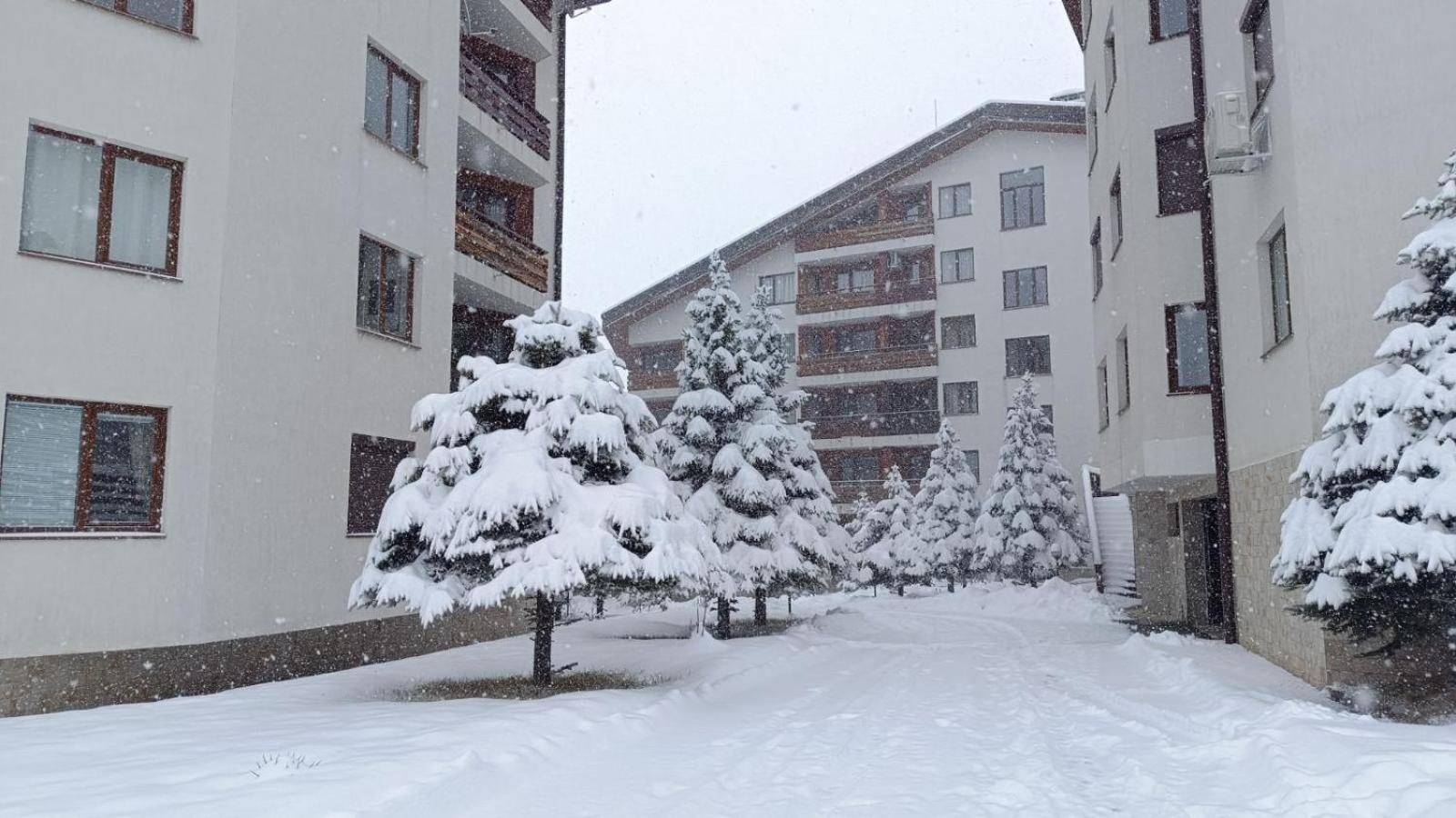 Apartment Detelina Residence Bansko Exterior foto