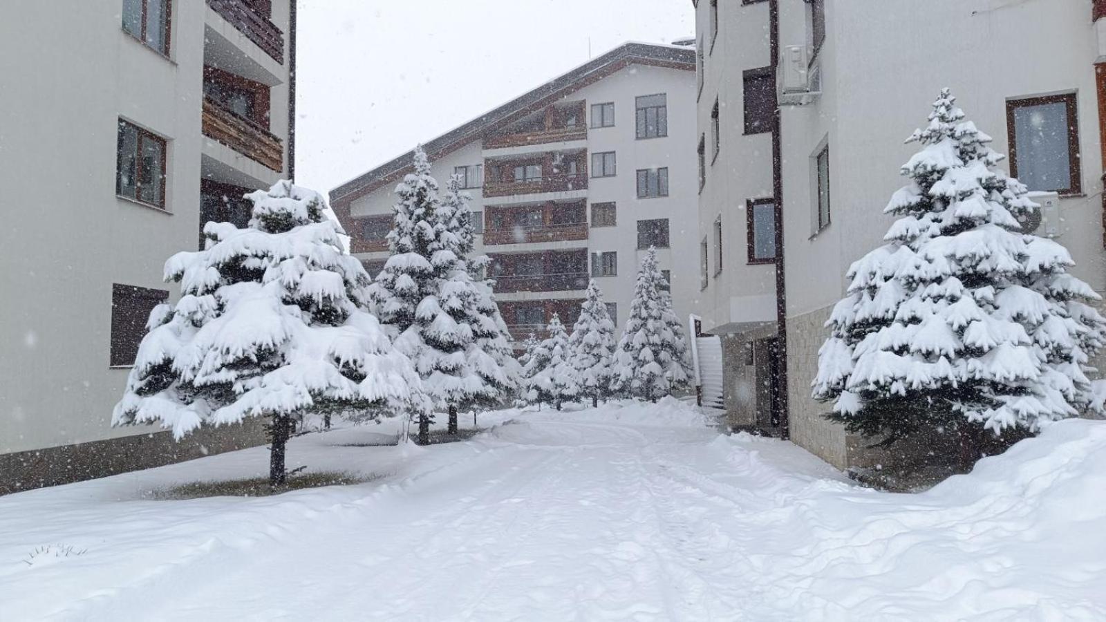 Apartment Detelina Residence Bansko Exterior foto