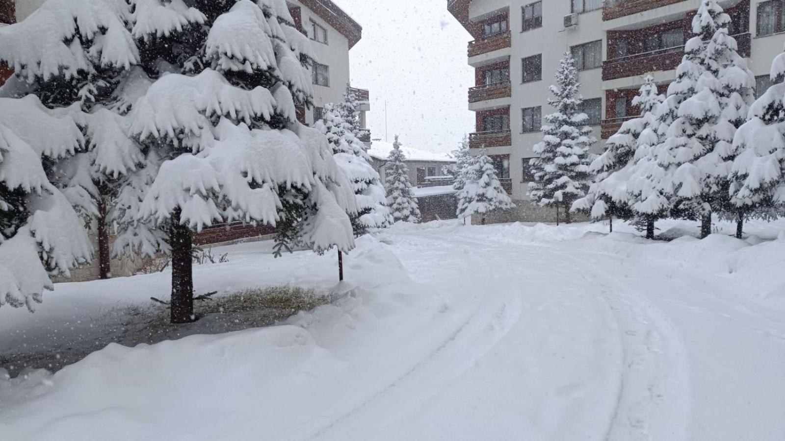 Apartment Detelina Residence Bansko Exterior foto