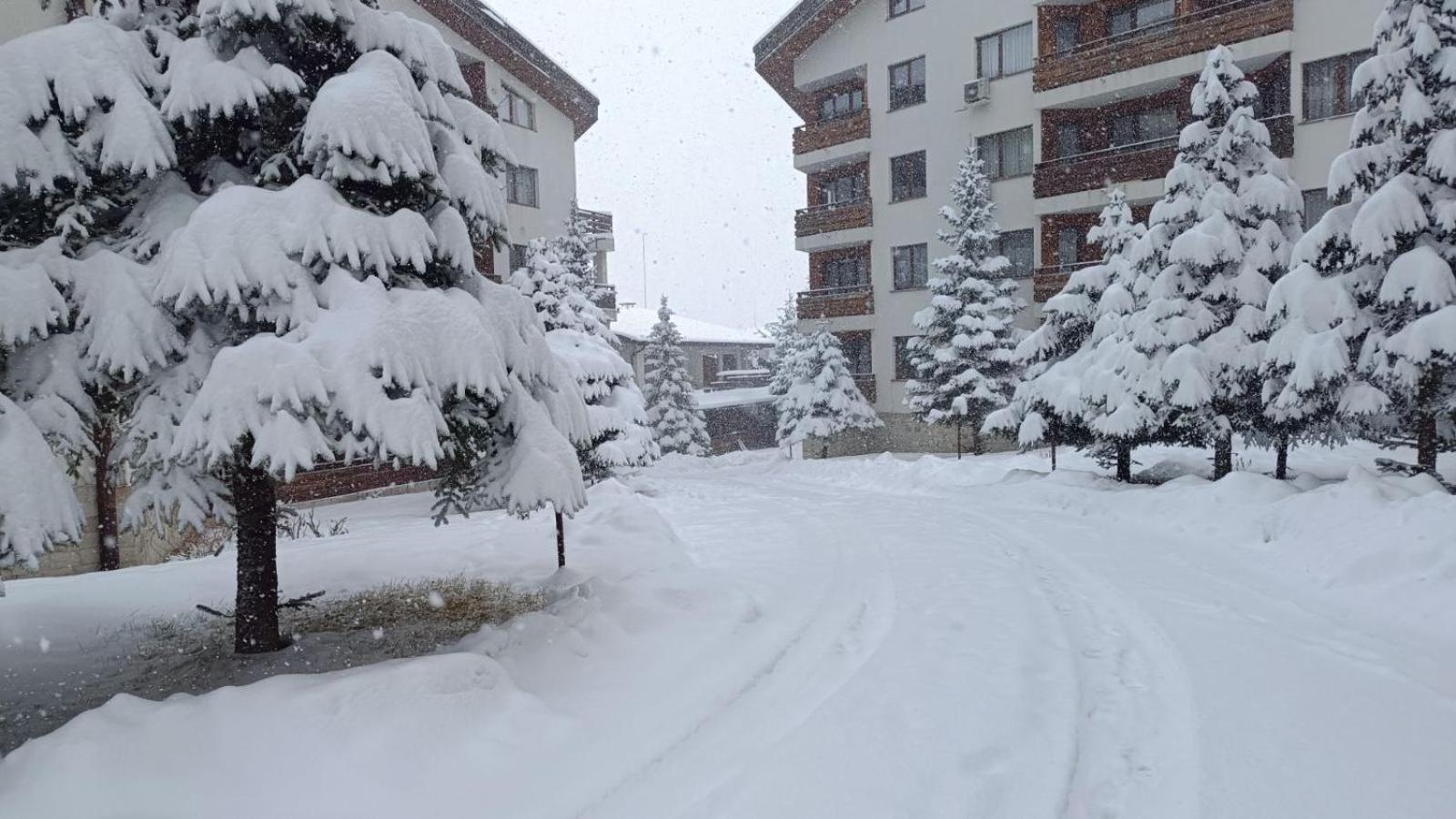 Apartment Detelina Residence Bansko Exterior foto